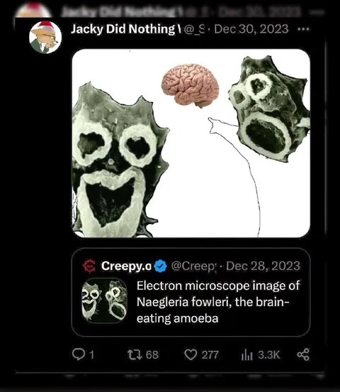 Brain-Eating Amoeba Looks Like Faces