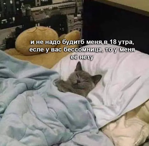 Не будите меня в 18 утра