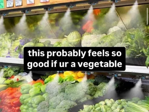 Vegetables Enjoying the Mist
