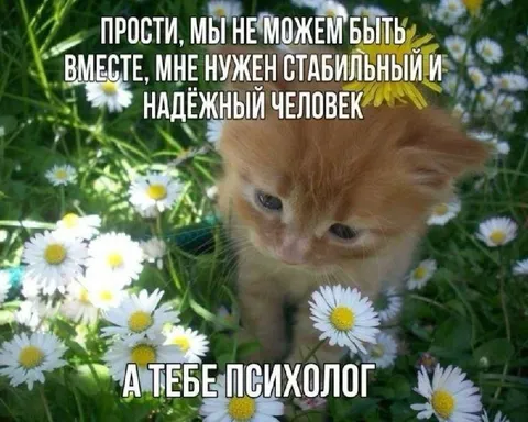 Мне нужен стабильный человек