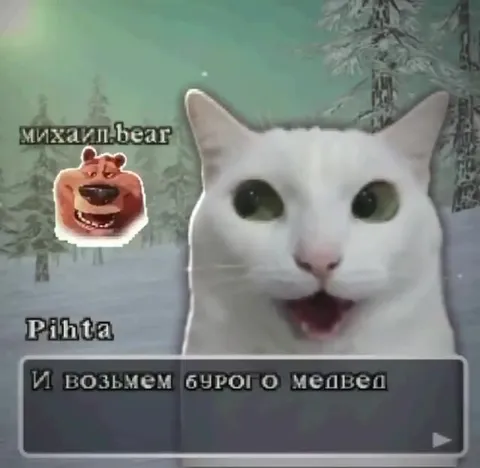 Белок из бурого медведя