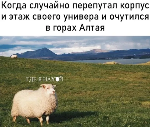 Перепутал корпус и этаж