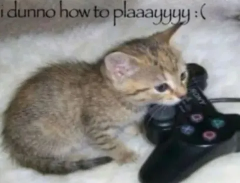 Kitten Doesn't Know How to Play