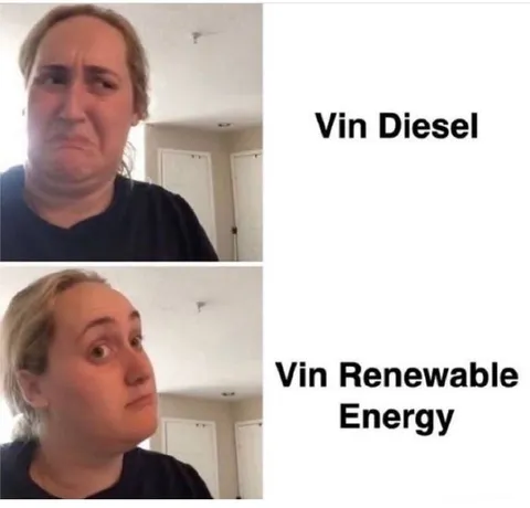 Vin Renewable Energy