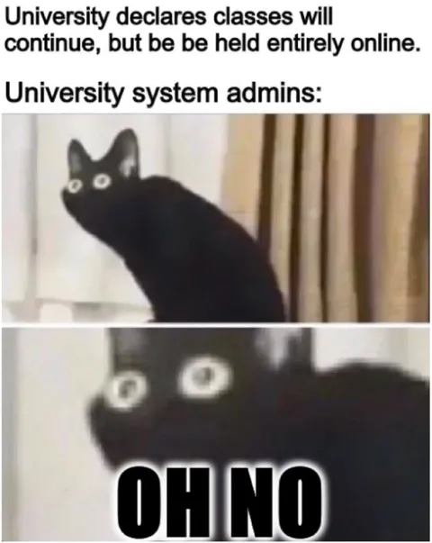 University Classes Go Online