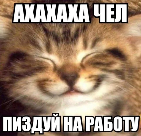 Ахаха чел, на работу