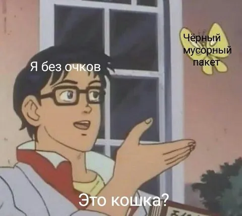 Я без очков вижу кошку
