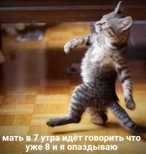 Мать будит в семь утра