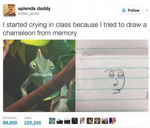 Chameleon Drawing Gone Wrong
