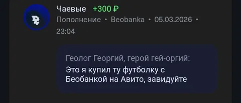 Футболка с Беобанкой на Авито