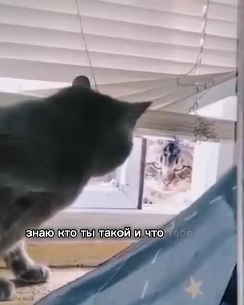 Я тебе обещаю и убью