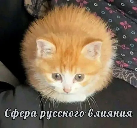 Сфера русского влияния