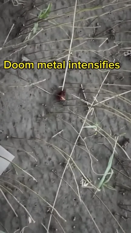 Doom Metal Frog Smoking