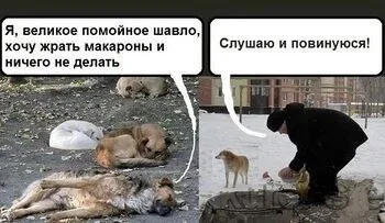 Великое помойное швало