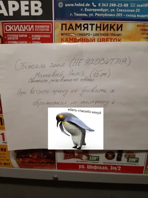 Объявление о сбежавшей змее