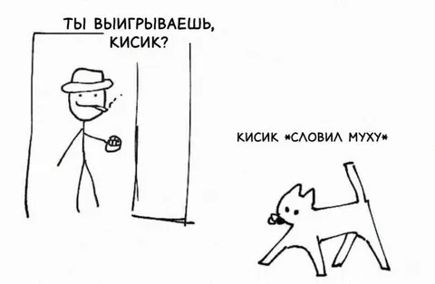 Кисик словил муху