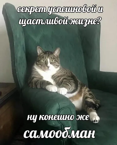 Секрет счастливой жизни — самообман