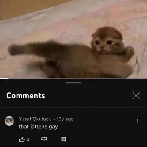 That Kitten's Gay