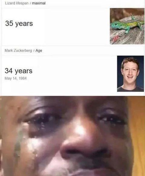 Lizard Outlives Mark Zuckerberg
