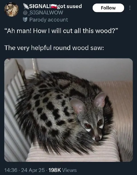 Helpful Round Wood Saw