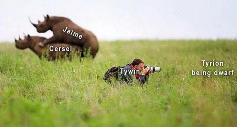 Game of Thrones Rhino Family