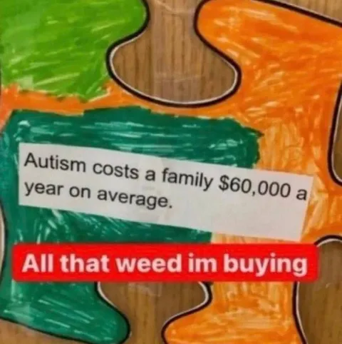 Autism Costs, Weed Budget