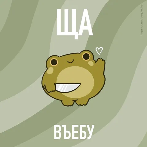 Ща въебу лягушка