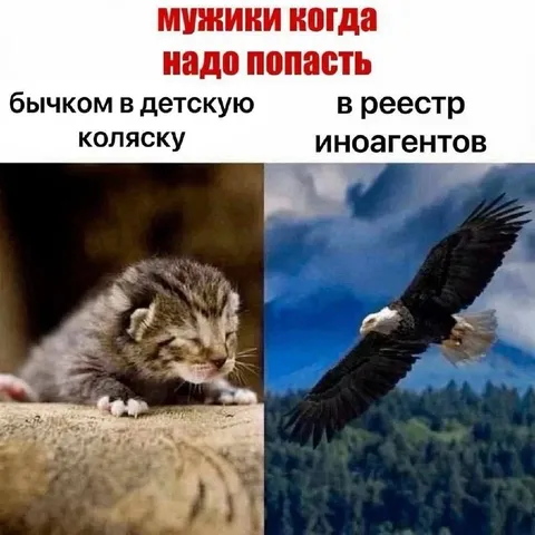 Мужики когда надо попасть в реестр