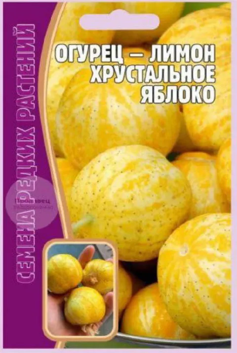 Огурец — лимон — хрустальное яблоко