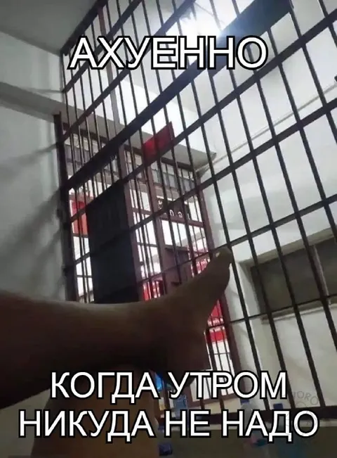 Утром никуда не надо