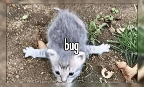 Tiny Cat Labeled Bug
