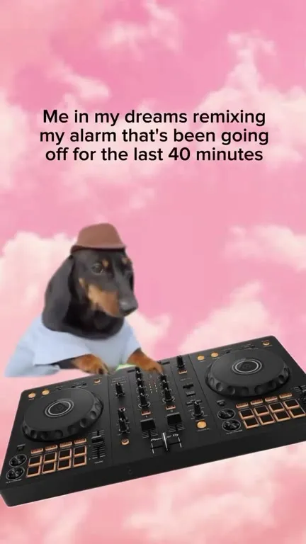 Dog Remixes the Alarm