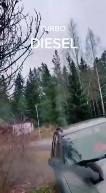 Turbo Diesel Car Reaction