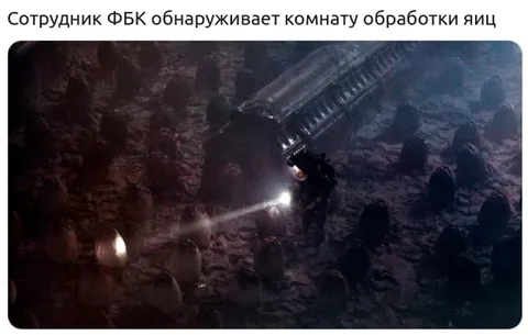 Сотрудник ФБК в комнате яиц