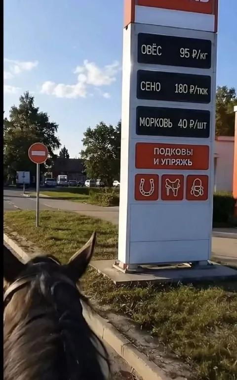 Заправка для лошади
