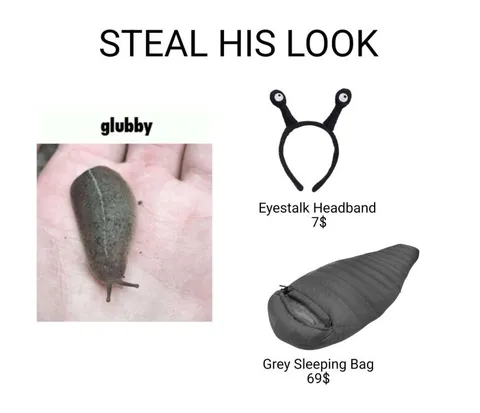 Steal the Slug's Look