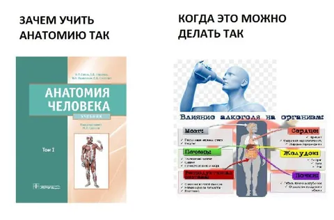 Зачем учить анатомию