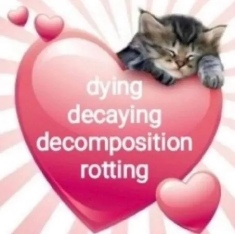 Dying Decaying Decomposition Rotting