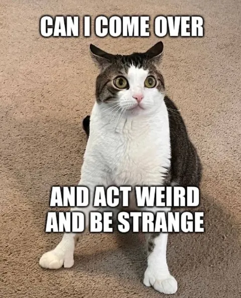 Can I Come Over and Act Weird