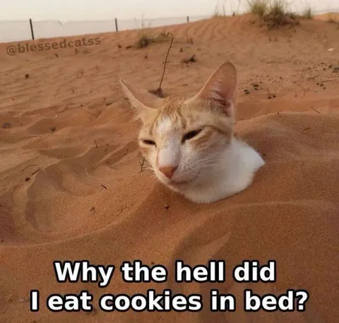 Why I Eat Cookies in Bed