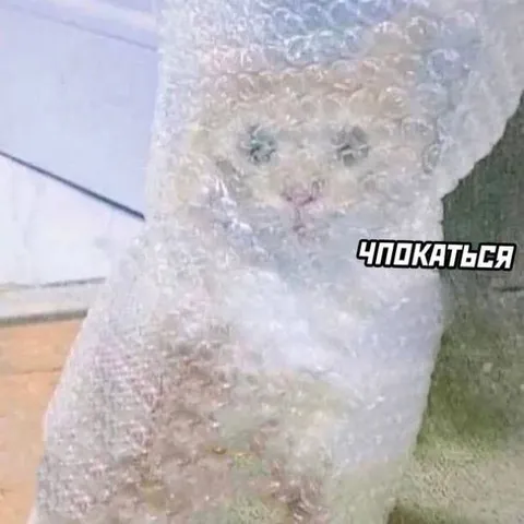 Чпокаться в пузырчатой плёнке