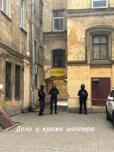 Дело о краже шоппера