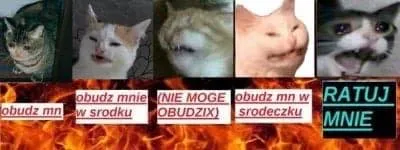 Obudź mnie, ratuj mnie