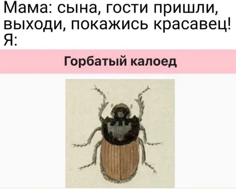 Горбатый калоед пришёл в гости