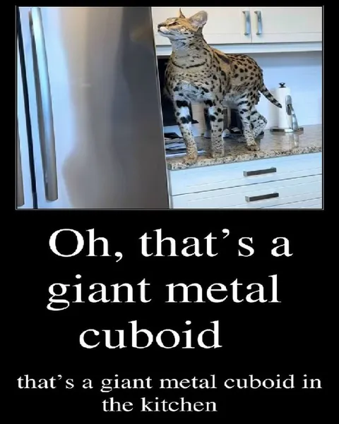Giant Metal Cuboid Cat