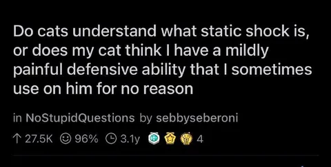 Cat Thinks Static Is an Attack
