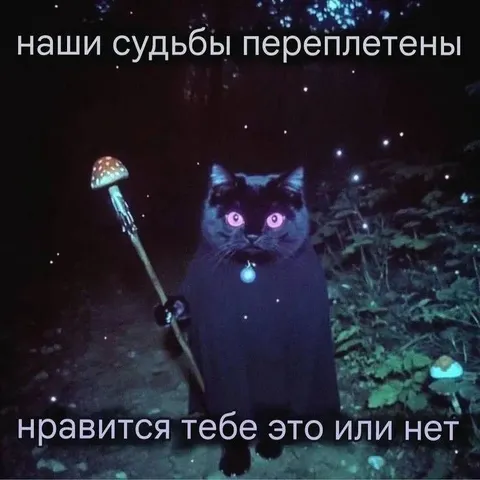 Наши судьбы переплетены
