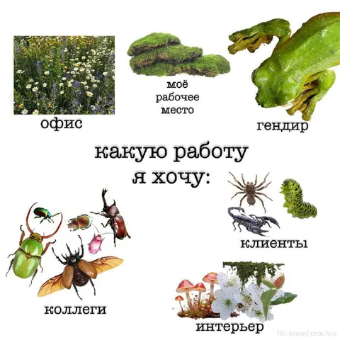 Какую работу я хочу