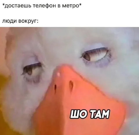 Телефон в метро — шо там