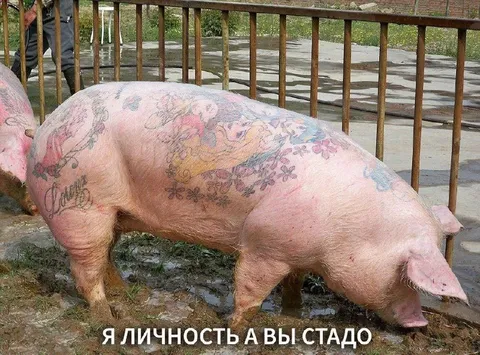 Я личность, а вы стадо